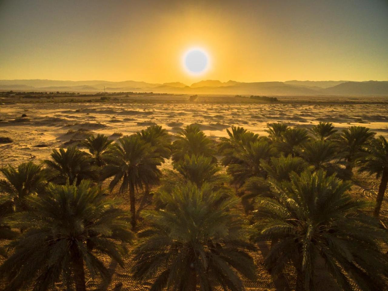 Lotan Desert Travel Hotel Nahal Ya'alon Exterior photo