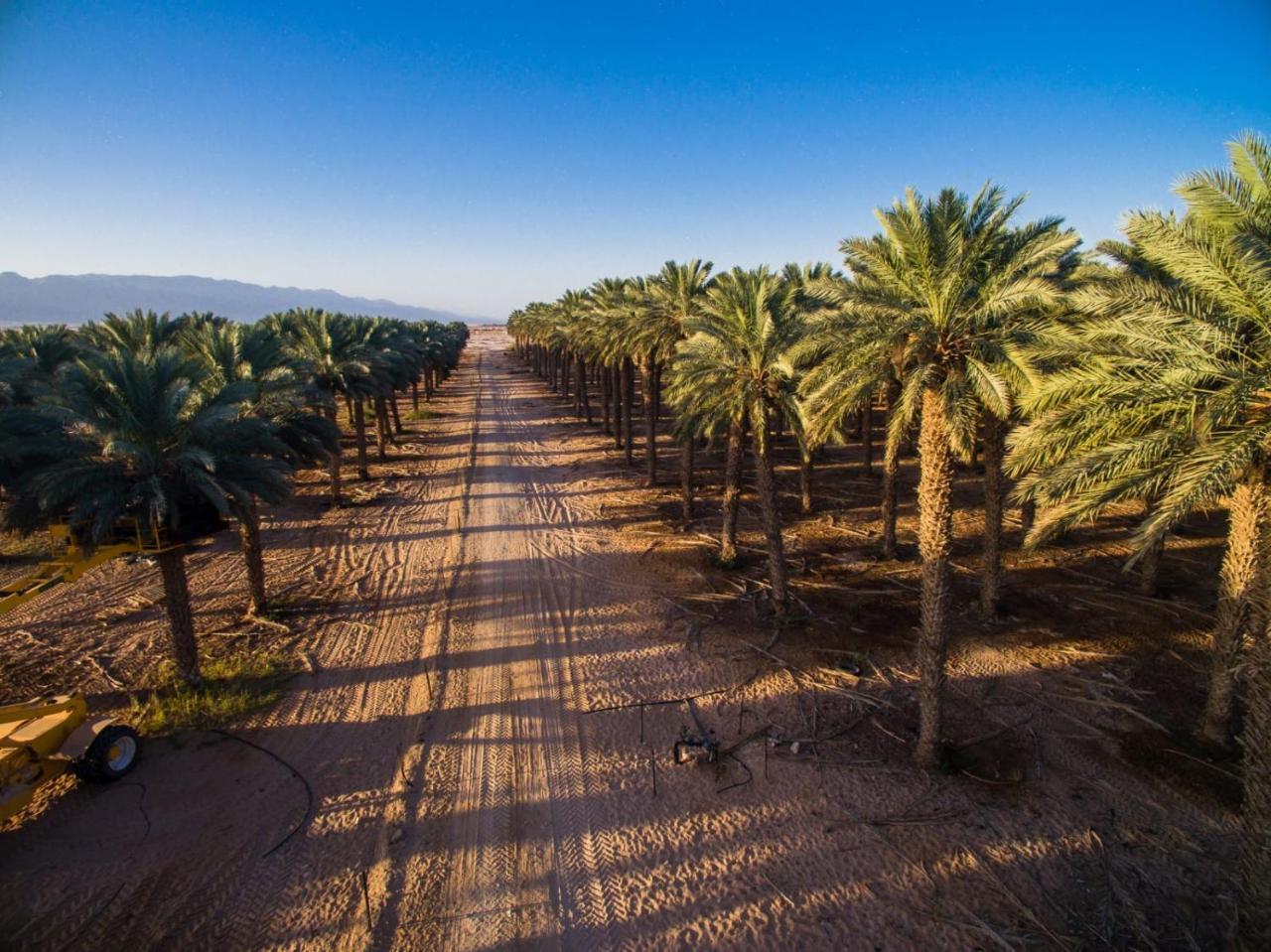 Lotan Desert Travel Hotel Nahal Ya'alon Exterior photo